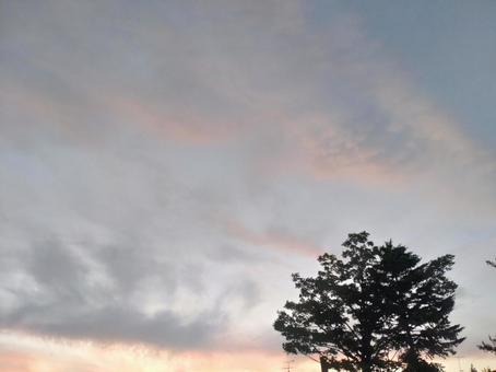 夕空 夕空の写真