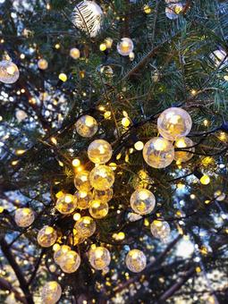 冬のイルミネーション 冬のイルミネーション 背景,バック,イメージの写真素材