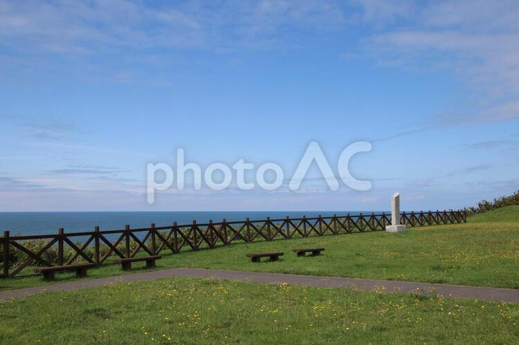 海浜公園の広場と海の景色 海,公園,景色の写真素材