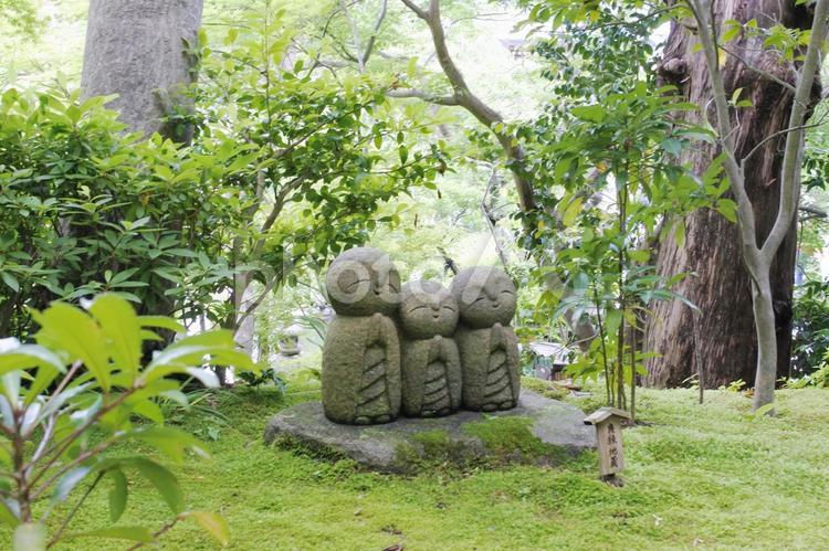 長谷寺の地蔵 鎌倉,長谷寺,地蔵の写真素材