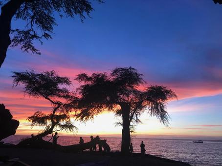 ハワイの夕暮れ ハワイの夕暮れ 夕暮れ,夕焼け,空の写真素材
