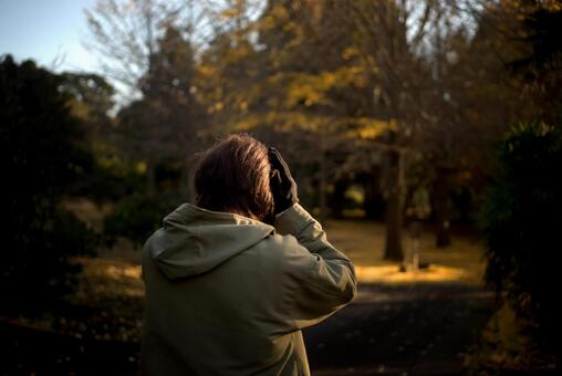 ＜素材＞秋の夕暮れの森の中で道に迷う女性 女性,悩む,迷うの写真素材