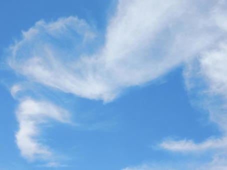 【風景写真】夏空 【風景写真】夏空の写真