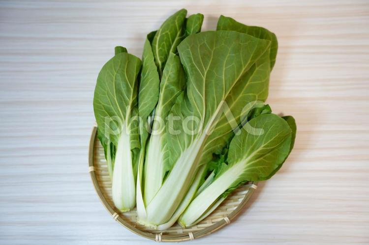 みずみずしい薄い緑色のしろな しろな,しろ菜,野菜の写真素材
