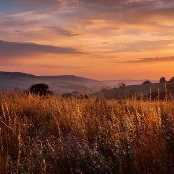 木々のシルエットと夕暮れの山の風景 木々のシルエットと夕暮れの山の風景の写真