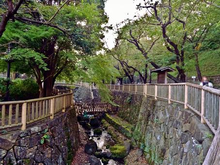 北区立音無親水公園 北区立音無親水公園の写真