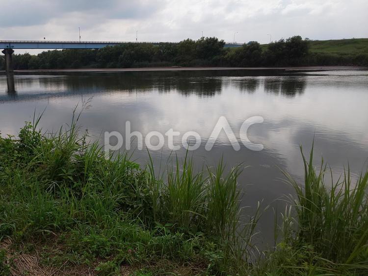 江戸川と上葛飾橋、曇り空 江戸川,上葛飾橋,川の写真素材