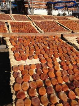 柿を干す 柿,旅,秋の写真素材