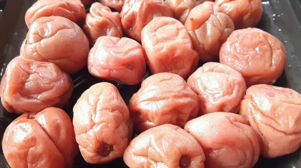 梅干し・1 梅干し,梅,食べ物の写真素材