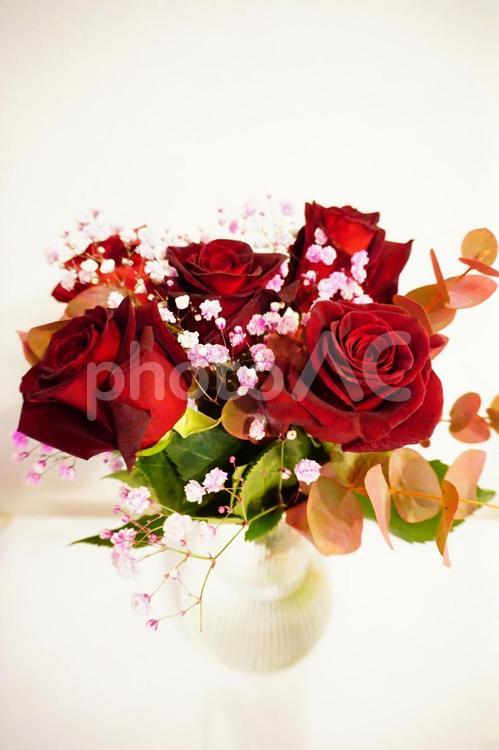 薔薇の生花（プレゼント） 赤,背景,ガーデニングの写真素材