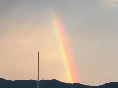 虹 にじ 虹 にじの写真