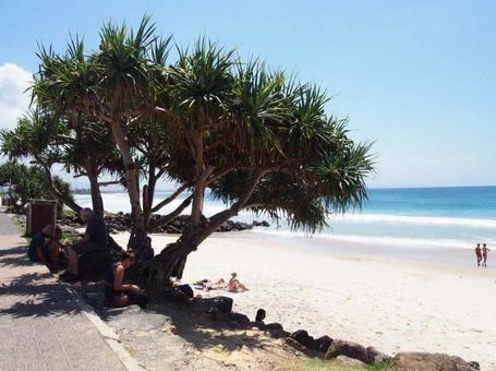 バイロンベイ メインビーチ オーストラリア,バイロンベイ,メインビーチの写真素材