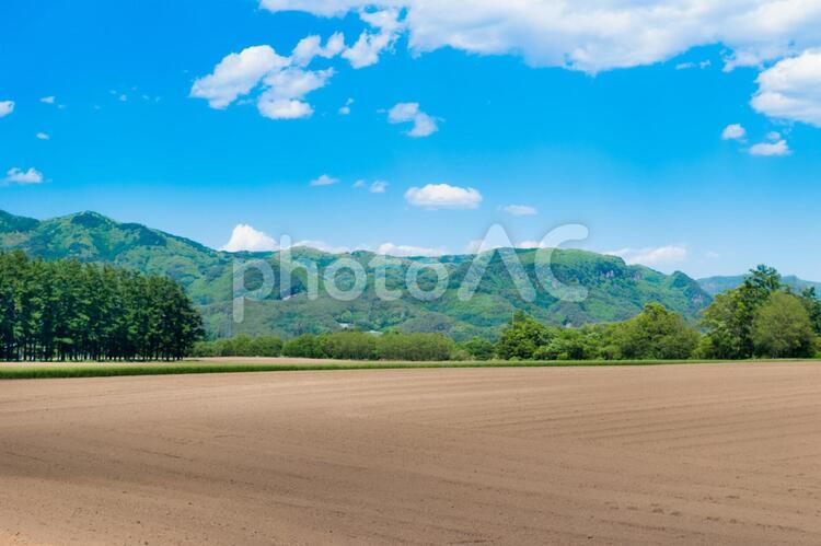 耕された畑と緑色の木々と山の田園風景 畑,農業,空の写真素材