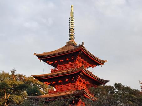 千葉県-法華経寺-五重塔 法華経寺,寺,正中山の写真素材