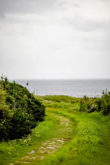 牧崎風の公園 牧崎風の公園 牧崎風の公園,風景,空の写真素材