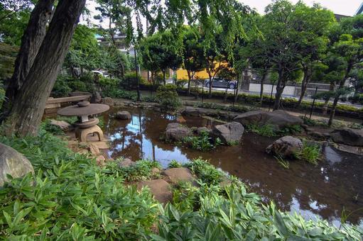 柏の宮公園の日本庭園の池 柏の宮公園の日本庭園の池 柏の宮公園,風景,景色の写真素材