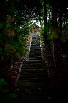 苔むした石段 苔むした石段,石段,日本の写真素材