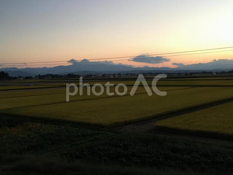 秋の夕暮れ 田園風景,田んぼ,稲の写真素材