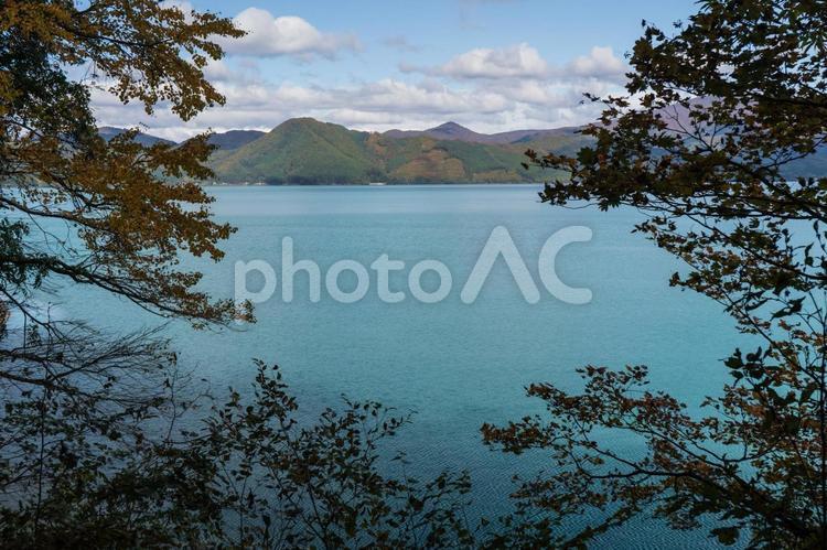 木の枝の葉の中に見える秋の田沢湖の景色１ 秋,枝,木の写真素材