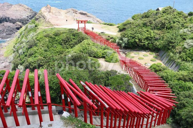 赤い鳥居 元乃隅神社,観光地,旅行の写真素材
