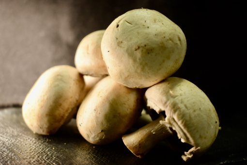 マッシュルーム② マッシュルーム,きのこ,料理の写真素材