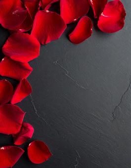 黒い背景に置かれた薔薇の花びら 黒い背景に置かれた薔薇の花びらの写真