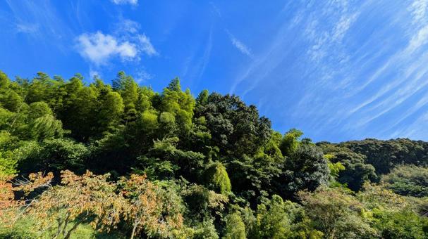 青空と緑の木々-35 青空と緑の木々-35 空,空背景,秋の写真素材