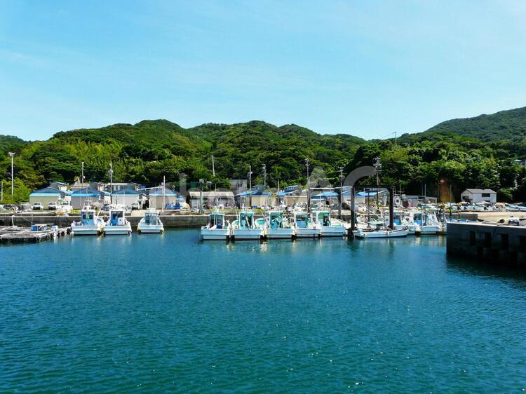 菅島の漁港と漁船　三重県鳥羽市菅島町にて 菅島,漁港,漁船の写真素材