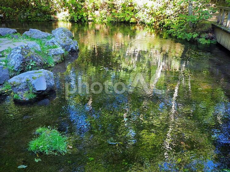 水辺の風景 水辺,涼しげ,川の写真素材