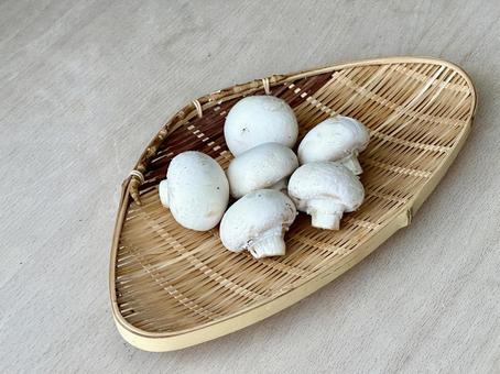 きのこ｜ホワイトマッシュルーム マッシュルーム,ホワイトマッシュルーム,キノコの写真素材