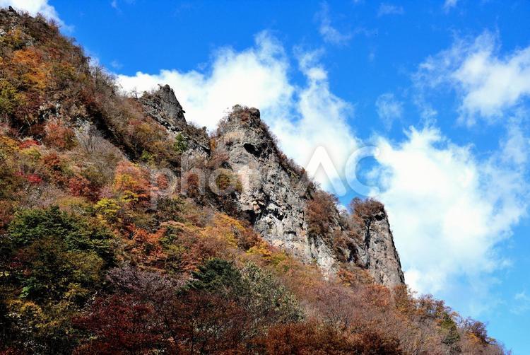 妙義山の奇岩と紅葉Ⅱ（群馬） 秋,紅葉,奇岩の写真素材