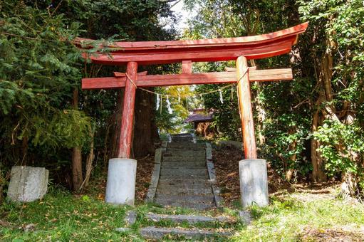 八雲神社 神社,八雲神社,神社仏閣の写真素材