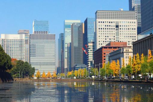 色づいた銀杏と丸の内のビルとお堀　２ イチョウ,オフィス街,ビルの写真素材