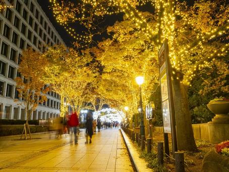 光に包まれる冬の御堂筋 光に包まれる冬の御堂筋 御堂筋,イルミネーション,夜景の写真素材