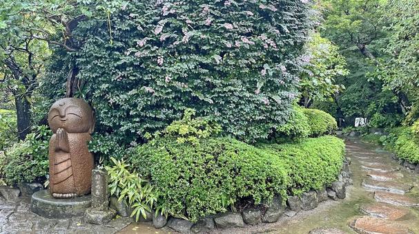 坂東33観音 04番 長谷寺 参道の石仏 坂東33観音 04番 長谷寺 参道の石仏 長谷寺,海光山,慈照院の写真素材