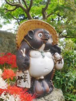 Shigaraki raccoon dog and red spider lily, JPG