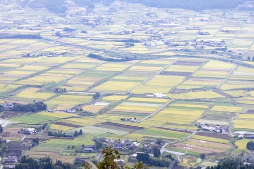 田んぼ 田んぼの写真