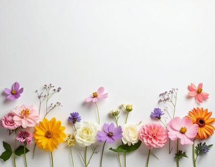 花の背景1 花の背景1の写真
