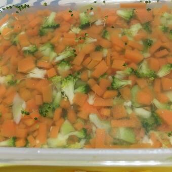 ワンちゃんご飯   ゼリー寄せ ワンちゃんご飯   ゼリー寄せの写真