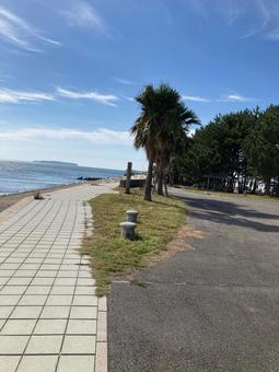 Photo, recommended, sea, beach, 