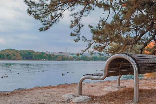 池とベンチ 自然,池,ベンチの写真素材