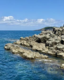 夏の福井県東尋坊の岩礁 夏の福井県東尋坊の岩礁 東尋坊,浅瀬,海の写真素材
