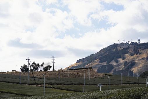 冬の粟ヶ岳の茶文字と茶畑 冬の粟ヶ岳の茶文字と茶畑の写真