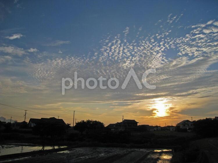 夕焼けと田植え４ 水田,田園,稲の写真素材