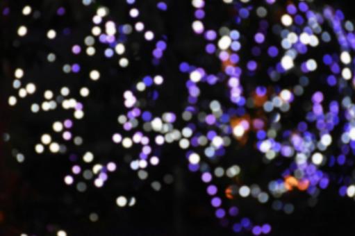 イルミネーションの写真