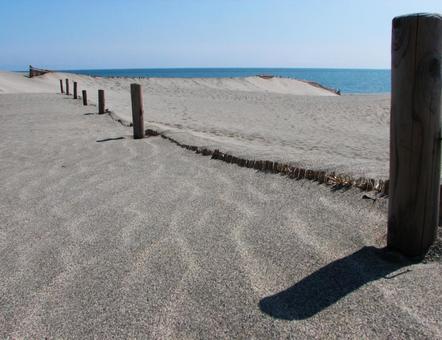 中田島砂丘 12 200706 中田島砂丘 12 200706の写真