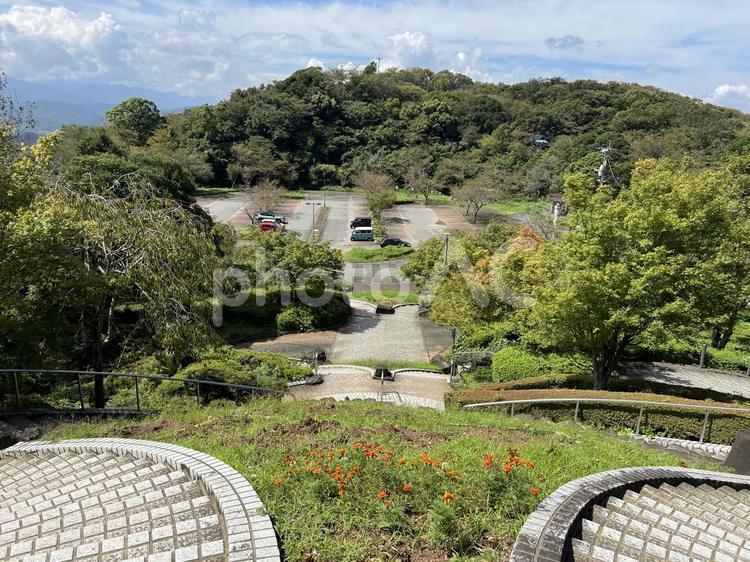 【徳島】眉山公園の風景 眉山公園,公園,展望台の写真素材