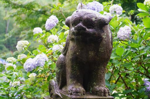 Guardian lion in the rain at Shokeiji Temple, JPG Guardian lion in the rain at Shokeiji Temple, JPG