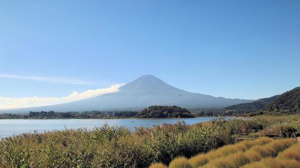 初秋の河口湖大石公園から望む富士山 初秋の河口湖大石公園から望む富士山 富士山,初秋,9月の写真素材