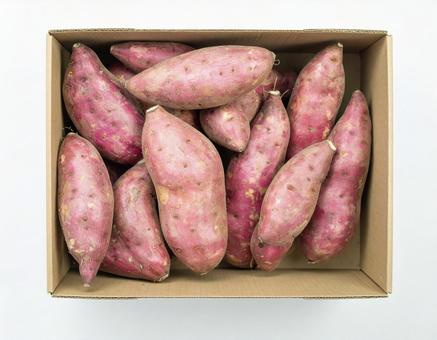 箱入りさつまいも 箱入りさつまいもの写真